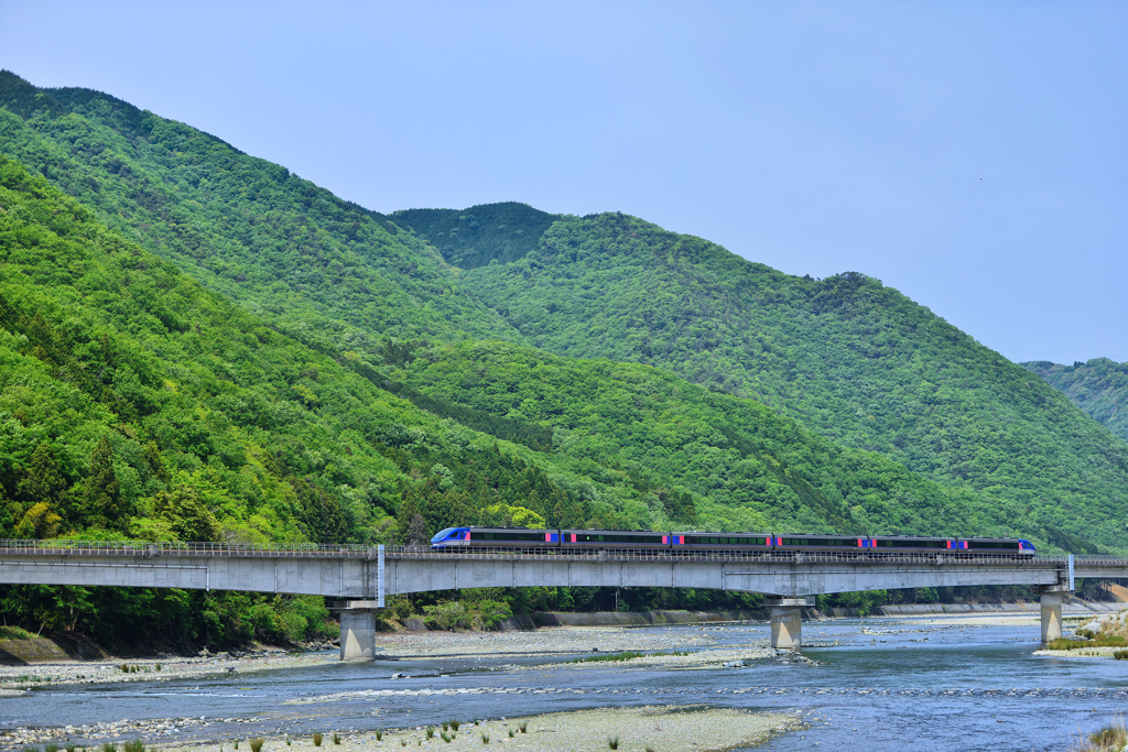 新緑を行く列車　