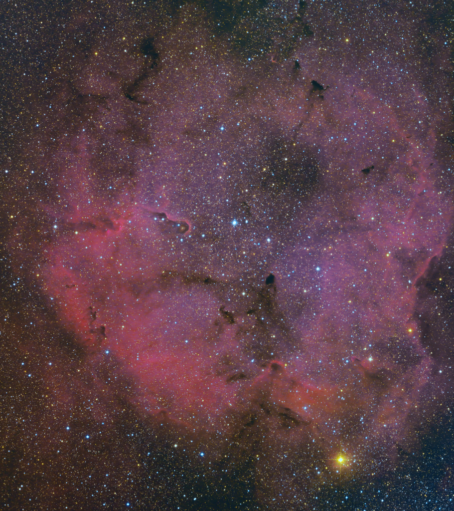 IC1396散開星団（再処理）