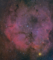 IC1396散開星団（再処理）