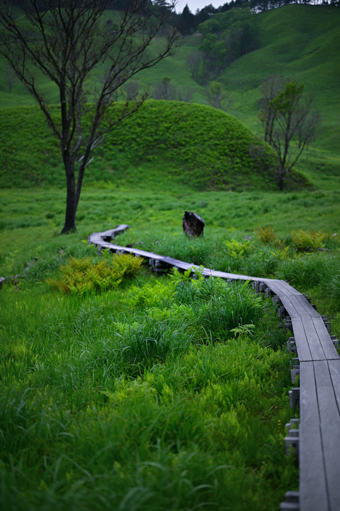 Green Road