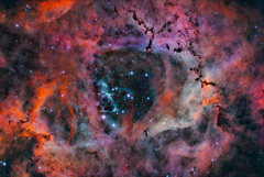 バラ星雲中心部