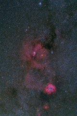 　ｺｰﾝ＆薔薇星雲付近