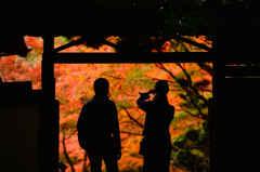 紅葉の世界にようこそ