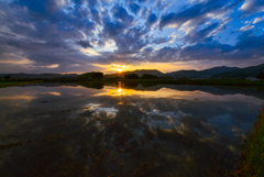 水田と夕日