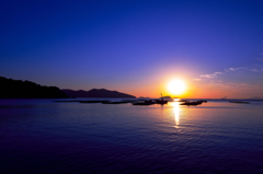 Blue morning