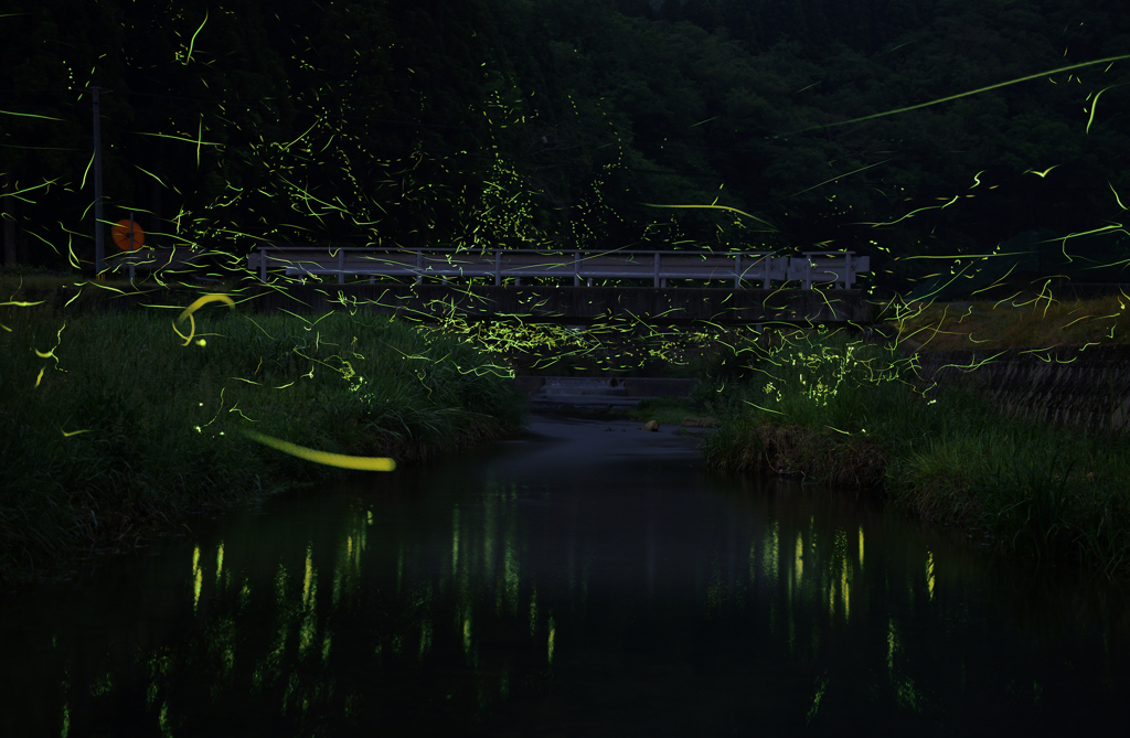 蛍の小川
