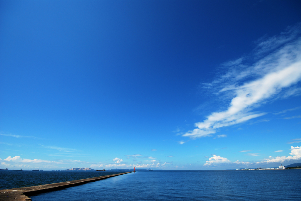 夏を見張る