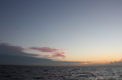夕暮れの海