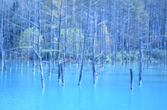 青い池