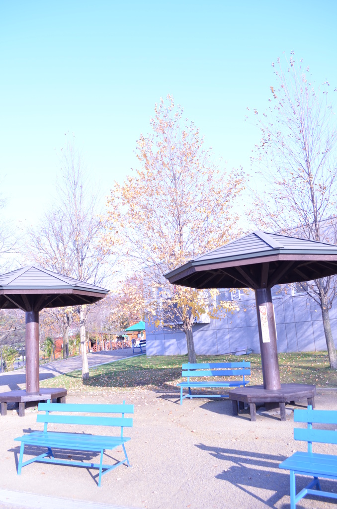 blue  bench