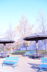 blue  bench