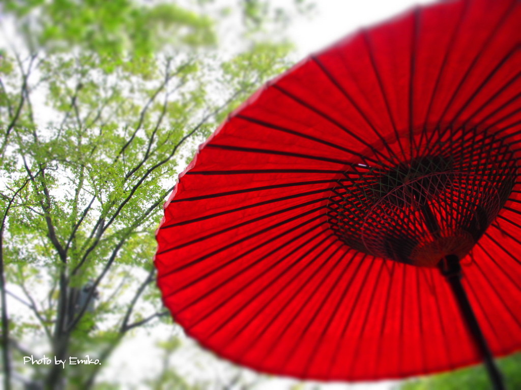 紅
