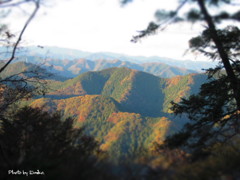 秋の山