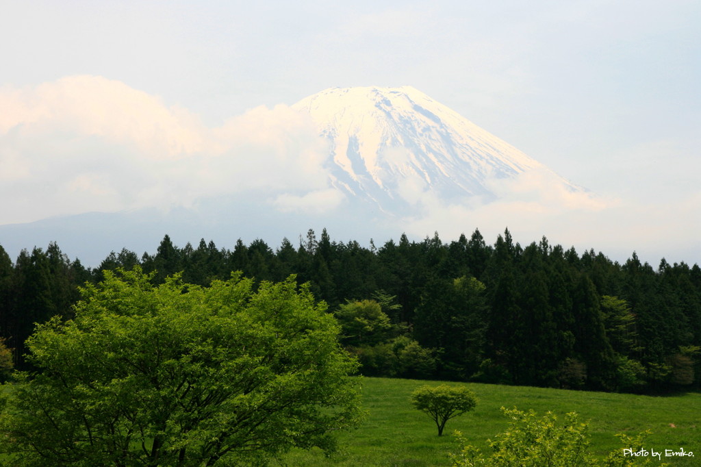 富士山