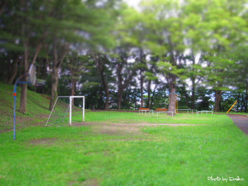 早朝の公園