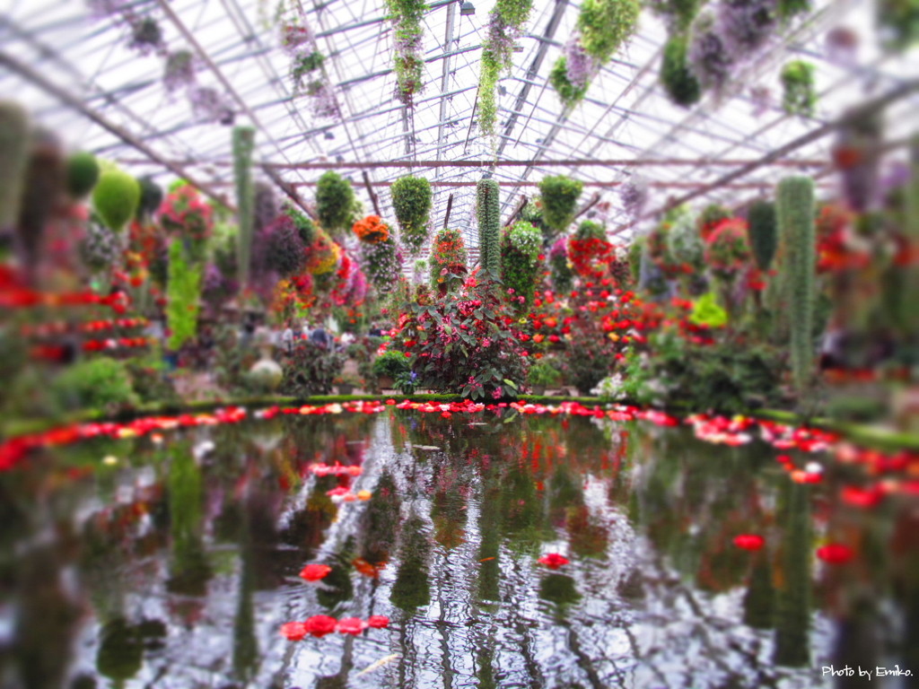富士花鳥園