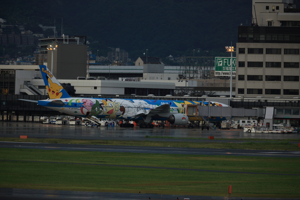 IMGL0374