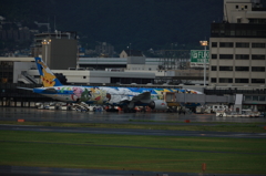 IMGL0374
