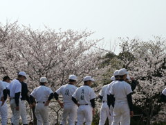 春の声援