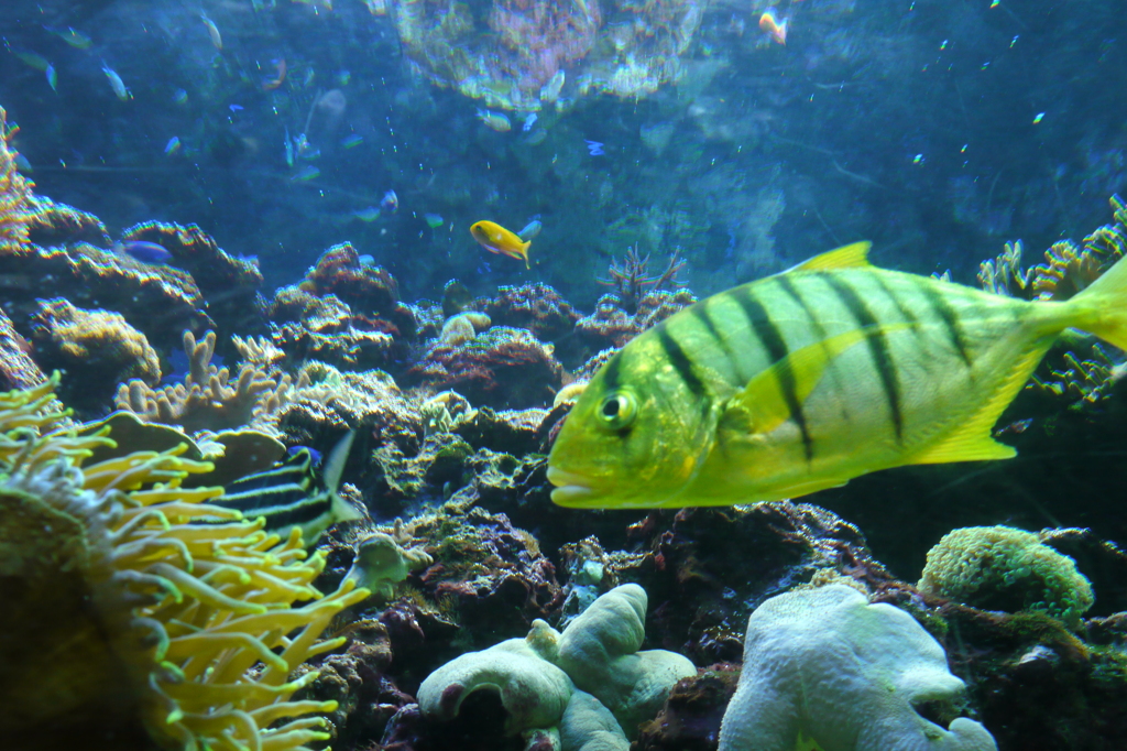 江ノ島水族館