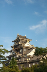 夕晴れの岡山城
