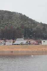 山と白鳥