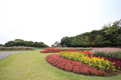 花の美術館２