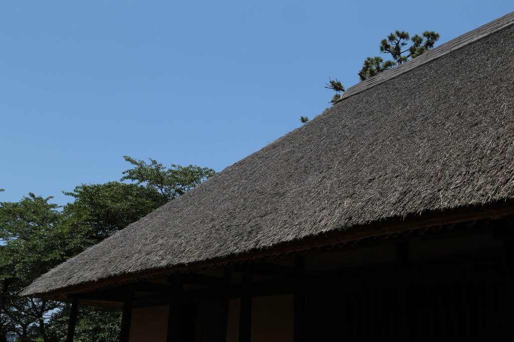 茅葺き