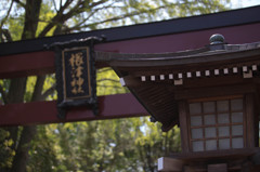 神社参拝