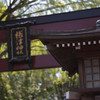 神社参拝