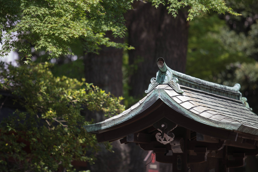 掲示板
