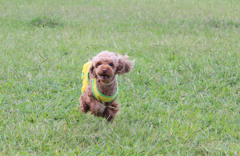IMG_1588_edited-1
