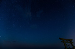 鳥居と星空