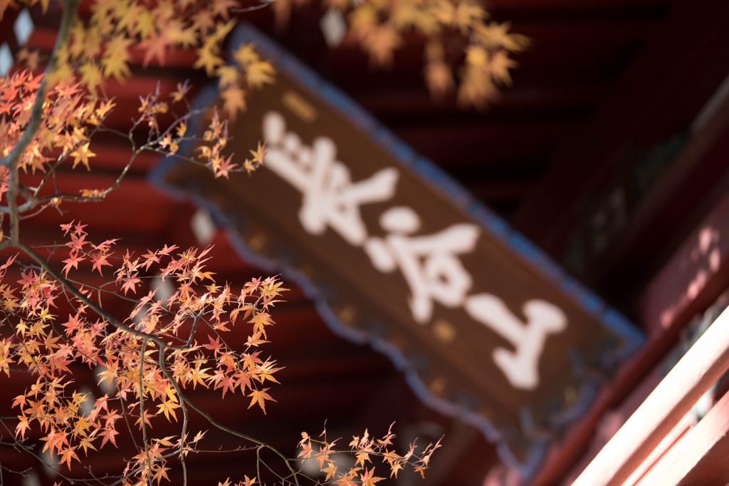 日蓮宗　本土寺