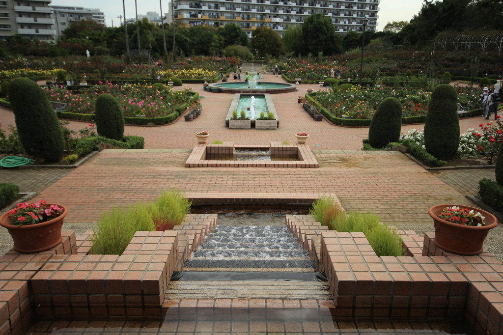バラ園