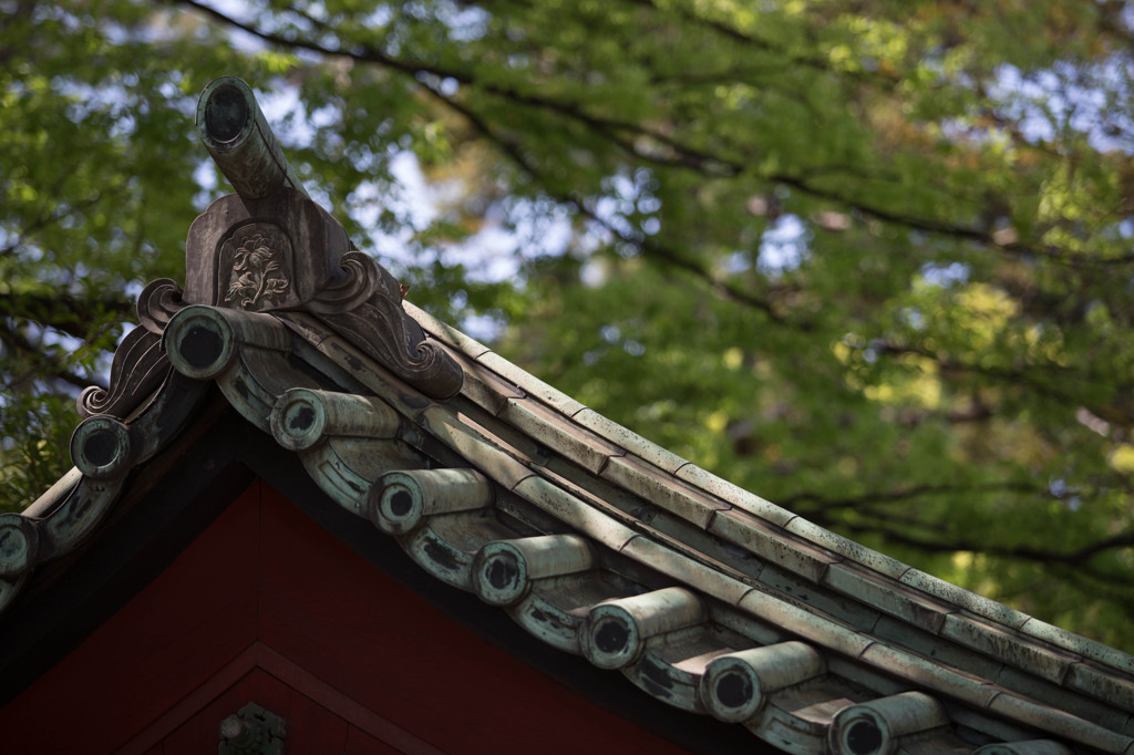屋根