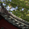 屋根