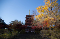 空蒼く、紅葉も色鮮やかに。