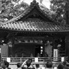 芸