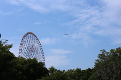 飛行機と観覧車