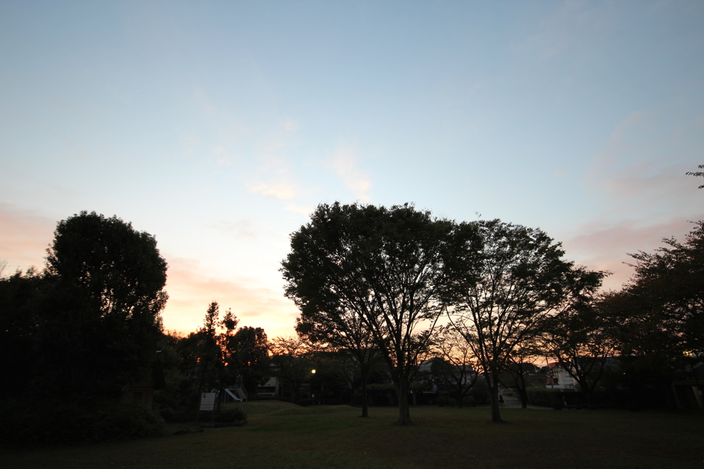 朝の城址公園