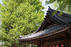 文化