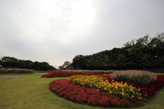 花の美術館