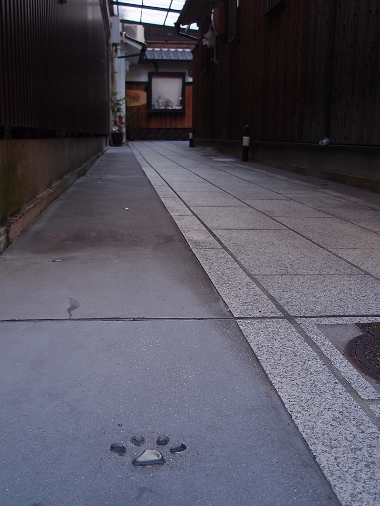 京都 猫の路地