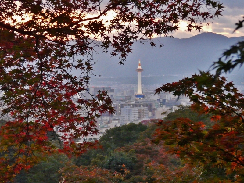 京都タワー＆紅葉