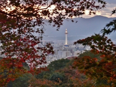京都タワー＆紅葉