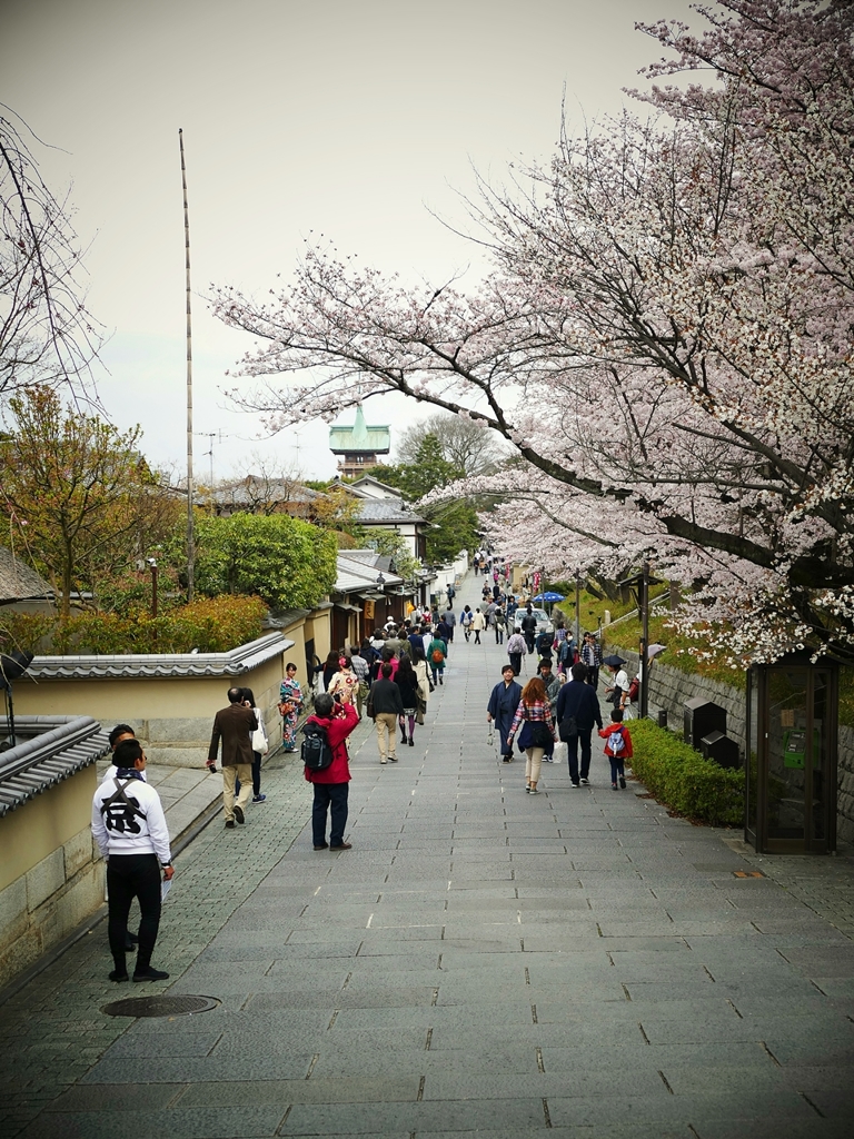 京都 春 寧々の道にて