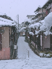 京都 石塀小路 冬雪