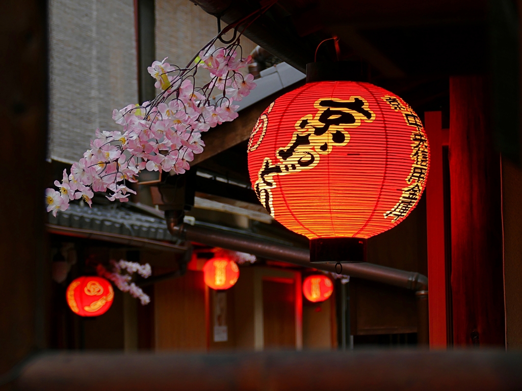 京都 花街の春