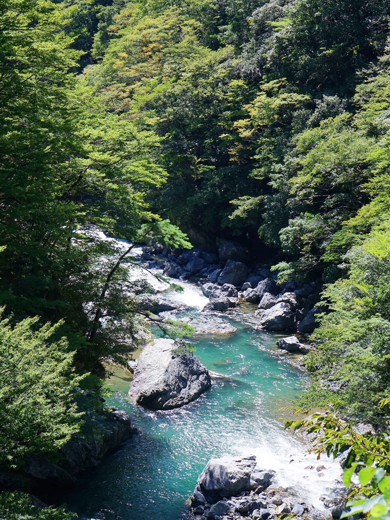 京都 山中の清流